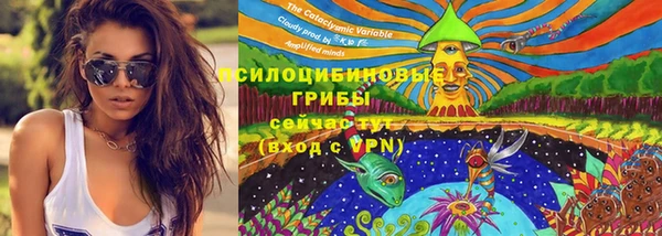 jwh Абаза
