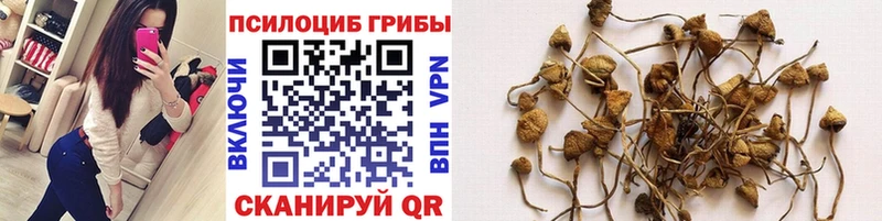 Псилоцибиновые грибы мухоморы  darknet состав  Ковров 