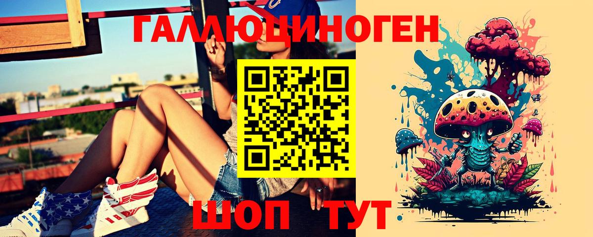 Ковров  Галлюциногенные грибы Psilocybine cubensis  Вход с VPN 