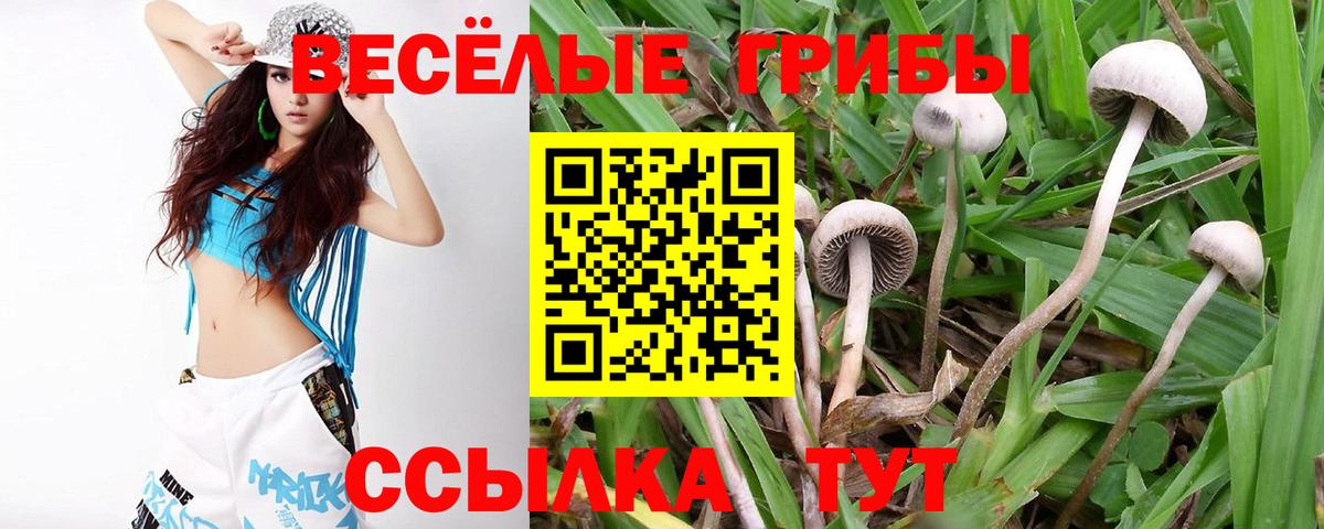 Псилоцибиновые грибы прущие грибы Ковров